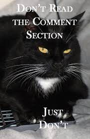 Sarcastic Cat Quotes Cat Memes Book Series Cozy Conundrums Humor Barry Funny Cat Memes Hilarious Cat Memes C Funny Cat Memes Cat Quotes Funny Cat Memes