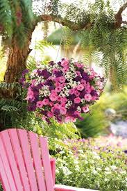 Gartengestaltung Ideen 111 Ausgefallene Gestaltungsideen Fur Einen Auffalligen Garten Gartengestaltung Ideen Hangepflanzen Blumen Ampel