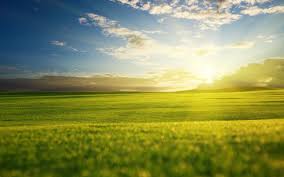  Pin By Laura Mccallum On Sunsets Sunrise Wallpaper Sunrise Images Field Wallpaper