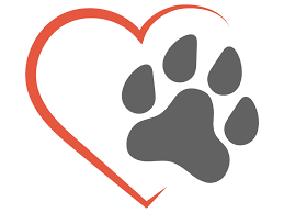 $5000 to keep your dog forever: Pet Taxidermy Pet Preservation Freeze Dried Taxidermy In Illinois