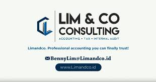 Abstract recent studies propose that. Lim Co Consulting Accounting Tax Internal Audit Service In Batam