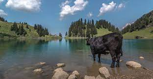 lac lioson beautiful family hike to lioson lake packed again