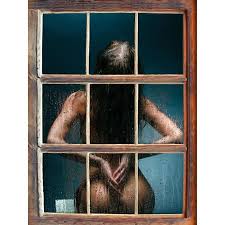 La femme à la fenêtre, de a.j. Femme Nue Derriere Le Mur De Verre Mouille Fenetre En 3d Look Mur Ou Format Vignette De La Porte 92x62cm Stickers Muraux Cdiscount Maison