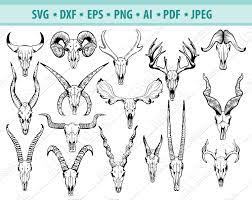 Download Animal Skull Svg Impala Skull Clipart Skull Hunting Trophy Etsy