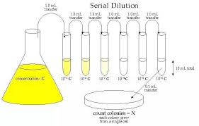 Dilution Isolation Technique Microbiology Medical Laboratory Science Teaching Biology