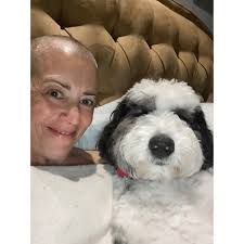 Finding Light In the Middle of the Woods