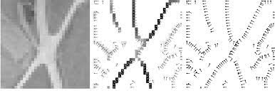 Basically, this method examines each pixel in the image and detects the line pixels that are located on or close to the line structures. Https Ieeexplore Ieee Org Iel3 34 14411 00659930 Pdf