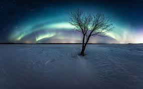 Lapland Holidays Offer Scenic Night Views With Northern Lights Northern Lights Lapland Finland Travel