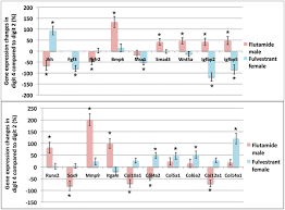 Developmental Basis Of Sexually Dimorphic Digit Ratios Pnas