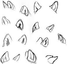 A good guide for drawing anime eyes is to draw a horizontal line through the middle of the head as shown in the above example and to draw the eyes below that. Wolf Study Ears By Wolfsilvermoon On Deviantart Drawings Sketches Anime Cat Ears