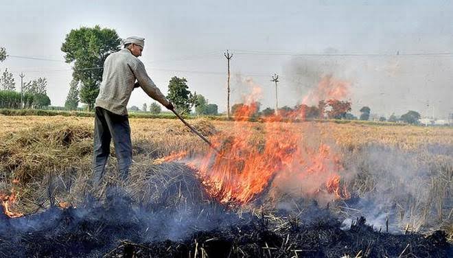 Image result for farmer burning"