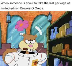The Best Sandy Cheeks Memes Memedroid