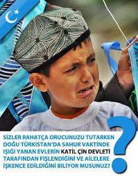 Doğu türkistan'daki zulme dur de! Dogu Turkistan Da Cin Zulmu Sayfa 6 Uludag Sozluk