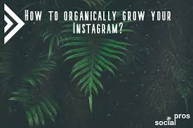 Use the right hashtags this instagram organic growth strategy is often overlooked because people have mixed results. How To Organically Grow Your Instagram Social Pros