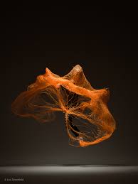Resultado de imagen para lois greenfield