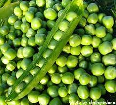 Check spelling or type a new query. Harvesting Peas