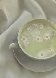 See more ideas about green aesthetic, green, aesthetic. Matthea Tumblr Blog With Posts Tumbral Com