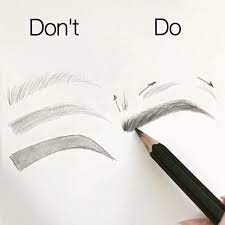 How To Correctly Draw Eyebrows Human Anatomy Art Drawings Sketches How To Draw Eyebrows Sketches