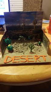 Desert Biome In A Box Desert Biome Desert Crafts Habitats Projects Ecosystems Projects