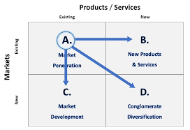 The simplicity of this model is that the four strategic options defined can be generically. How To Use The Ansoff Matrix To Analyze Risk Tallyfy