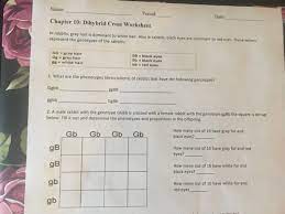 Worksheets are dihybrid cross biology key, chapter 10. Solved Name Period Date Chapter 10 Dihybrid Cross Wor Chegg Com