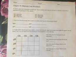 Fill it out and determine the phenotypes and proportions in the offspring. Solved Name Period Date Chapter 10 Dihybrid Cross Wor Chegg Com