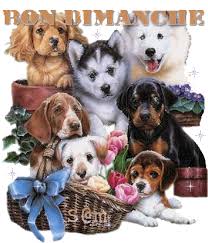 Résultat de recherche d'images pour "bon dimanche gifs animés"