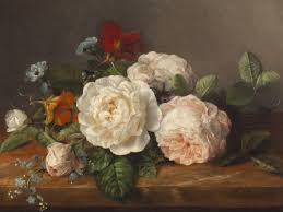 Image result for Gerardiina