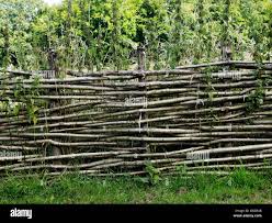 Hazel immensley Wood Fence