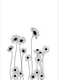 Daisies Botanical Line Drawing Poster By Thecolourstudy Flower Line Drawings Line Art Drawings Botanical Line Drawing