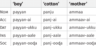 Tamil Regular Noun Declensions Download Table