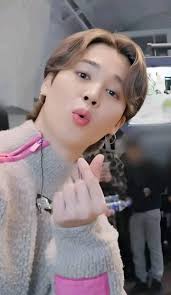 Nemophila Band Performances in Sacramento, California