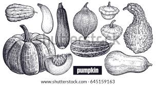Cover and bring to a boil then reduce the heat. Shutterstock Puzzlepix