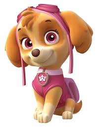Only 1 available and it's in 12 people's carts. Paw Patrol Birthday