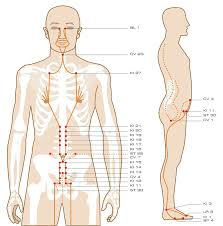 download the acupuncture points guidethe entire acupuncture