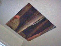 You can install a whole house fan yourself with a little effort and assistance. Install A Whole House Exhaust Fan Yourself