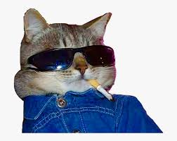 Check spelling or type a new query. Cat Cigarette Sunglasses Cool Freetoedit Cat With Sunglasses And Cigarette Free Transparent Clipart Clipartkey