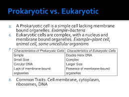 We did not find results for: Biochemistry Macromolecule Building Block Function Protein Amino Acid Ppt Download