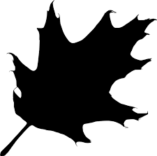 Oak Leaf Silhouette Clipart Vector Silhouettes Riscos Imagens