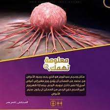 لو كنتي مريضة ورم ليفي أو عندك أي من الأعراض دي آلام مصاحبة للدورة الشهرية نزيف غزير أثناء الدورة الشهرية وقد يؤدي الى فقر دم ونقص في movie posters movies