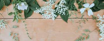 This article about how to choose funeral flowers is provided by sydney coffins. Funeral Flowers Sydney Coffins