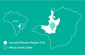 Mineiro are just a couple months removed from winning the copa libertadores for the first time, but have struggled so far in the new season. Produtor Cerrado Mineiro