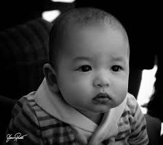 Jeannie Prewitt Photography