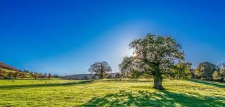 ما هو أول ما خلق الله تعالى موضوع