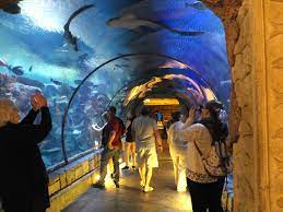 Nancy Virginia At The Shark Reef Aquarium In Mandalay Bay Hotel Complex Las Vegas Mandalay Bay Hotel Mandalay Bay Reef Aquarium