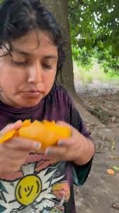 En Chiapas nada más se pepena el mango: