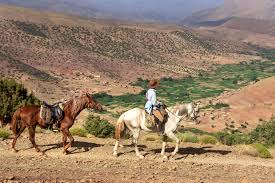 Atlas mountains, series of mountain ranges in northwestern africa, running generally southwest to northeast to form the geologic backbone of the countries of the maghrib (the western region of the. Crossing The High Atlas Mountains In Morocco On Horseback Equus Journeys