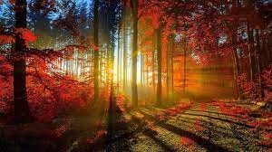 You can also upload and share your favorite nice nature wallpapers. Nice Nature Wallpapers 66 Background Pictures
