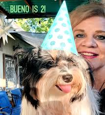 Rottweiler owners in Colorado