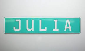 Individuelles Kennzeichen Mit Wunschname Und Symbol Mint Schilder Online Kaufen Schild Online Name Kennzeichen